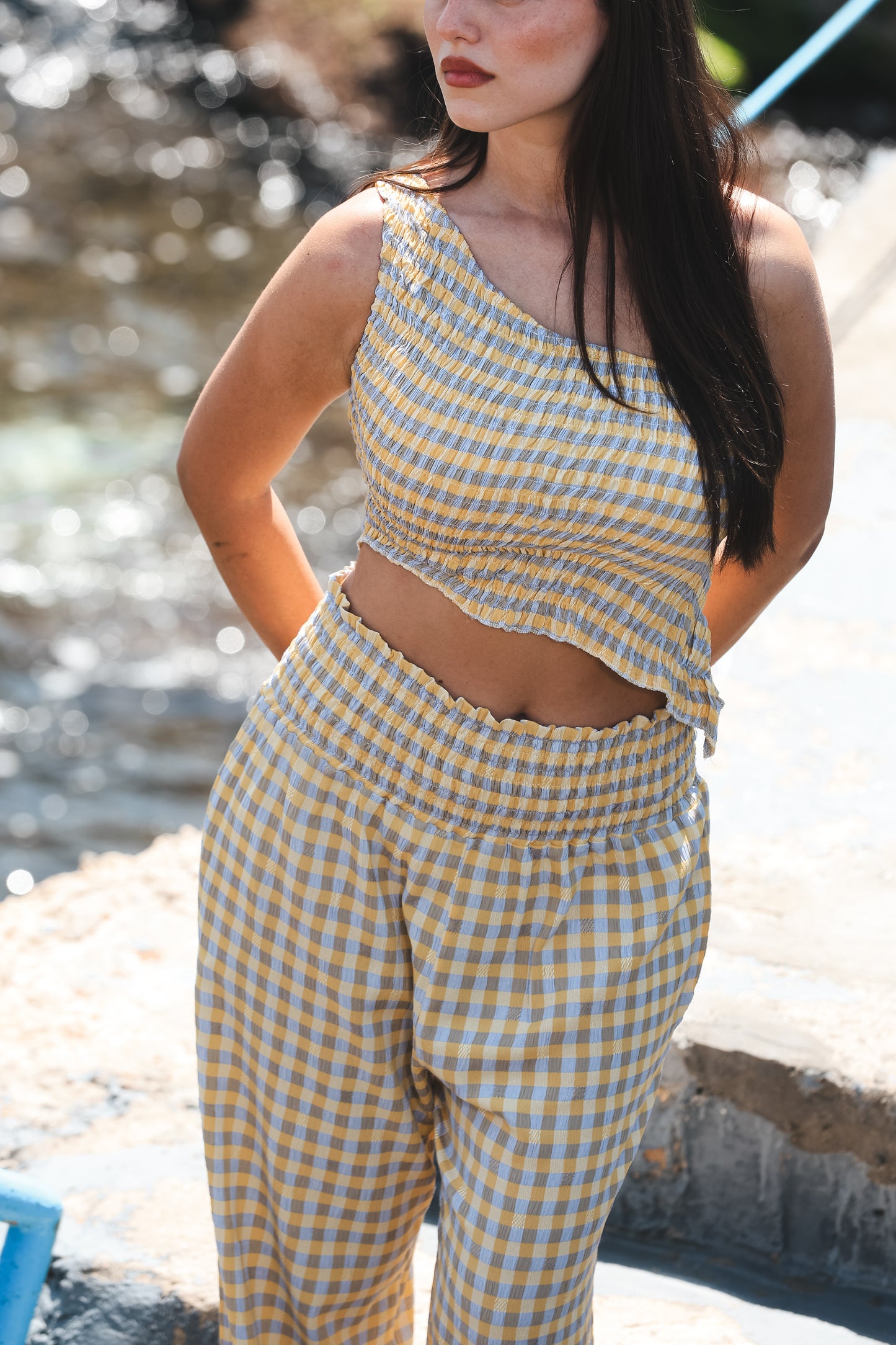 Lavender Lemonade Gingham Set